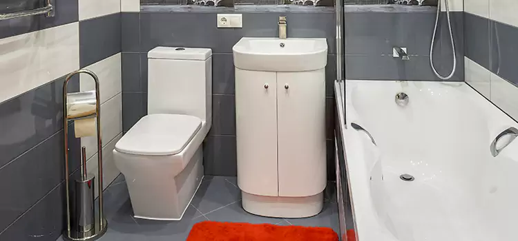 Hansgrohe Shaving Mirror Eastvale