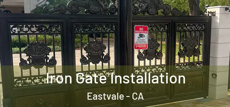 Iron Gate Installation Eastvale - CA